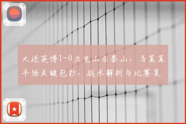 大连英博1-0力克山东泰山，马莱莱半场关键包抄，战术解析与比赛复盘