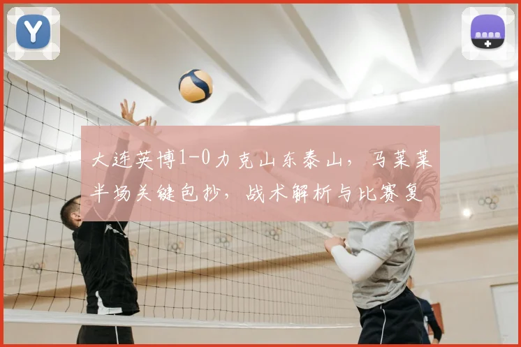 大连英博1-0力克山东泰山，马莱莱半场关键包抄，战术解析与比赛复盘